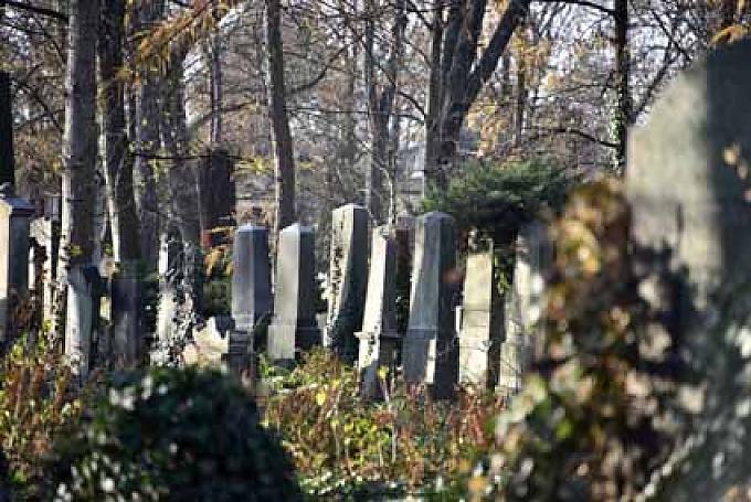 Gräberfeld auf dem jüdischen Friedhof in Breslau Gräberfeld auf dem jüdischen Friedhof in Breslau