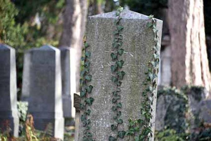 Gräberfeld Gräberfeld