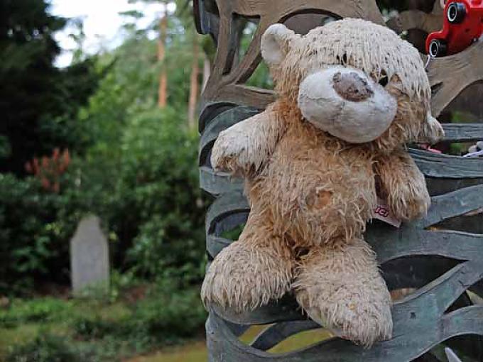 Teddy an einer Stele im Zentrum des Grabfeldes für Föten. 