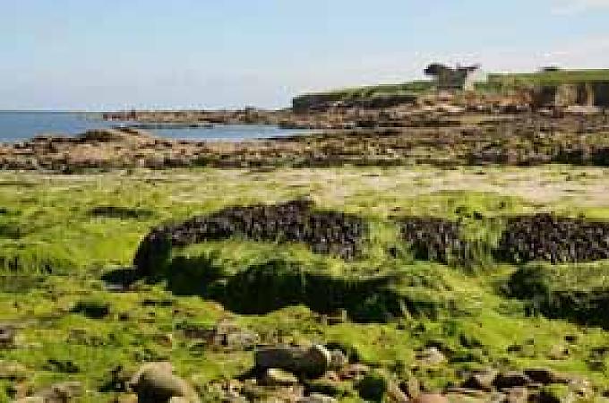 Ebbe am Strand von Névez Ebbe am Strand von Névez