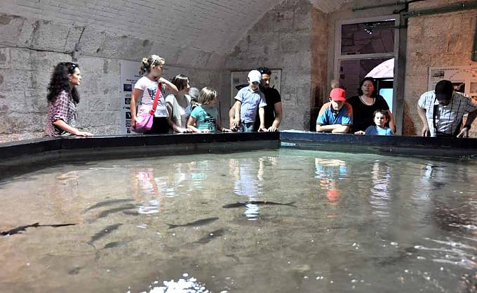 Besucher schauen ins offene Becken.