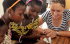 Von der Schulbank in Deutschland ans Lehrerpult in Afrika