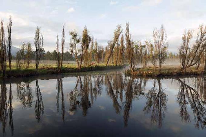 Morgenstimmung an den Kanälen von Xochimilco. Über Kanäle gelangen die Besitzer zu ihren Gärten.