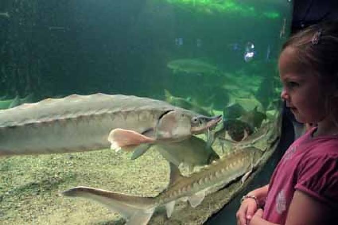 Wasser-, Wald- und Kranich-Zauber Wasser-, Wald- und Kranich-Zauber