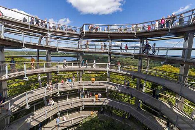 Im Adlerhorst steigt man dieser Buche gewissermaßen aufs Dach Dr. Katrin Staude ist Expertin für längst vergangene Zeiten. Mit Steinzeitworkshops und archäologischen Führungen lässt sie Gäste an ihrer Leidenschaft teilhaben