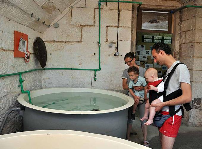 Gern gesehene Besucher sind Familien mit Kindern. Gern gesehene Besucher sind Familien mit Kindern.