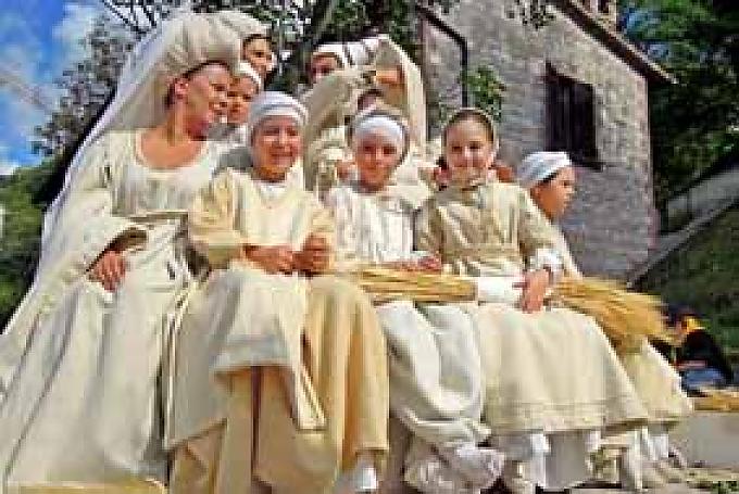 Wenn Esel um die Wette reiten Wenn Esel um die Wette reiten