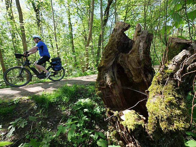 Fahrradfahrer am Kühkopf Fahrradfahrer am Kühkopf