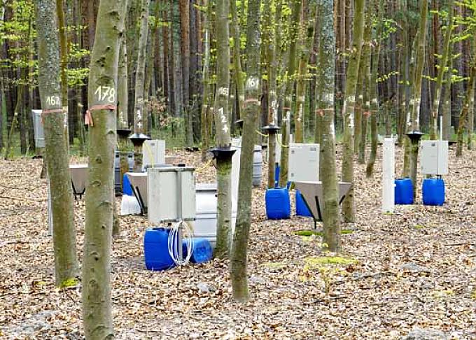 Verkabelter Wald Verkabelter Wald