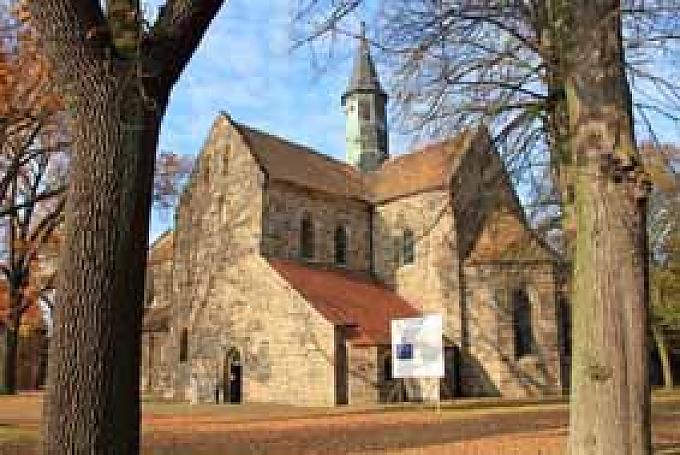 Scharfe Schnitte am Garten Eden / Was Luther auf die Palme brachte Scharfe Schnitte am Garten Eden / Was Luther auf die Palme brachte