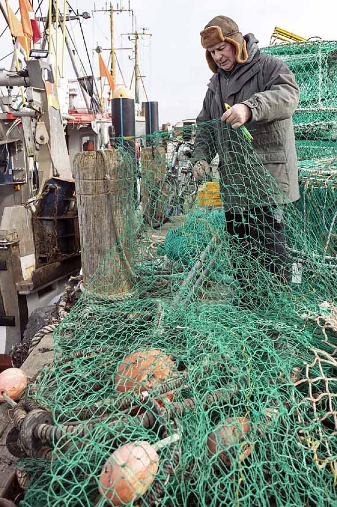 Fischer Birger Rönnau sortiert ein Netz. Fische werden ausgenommen.