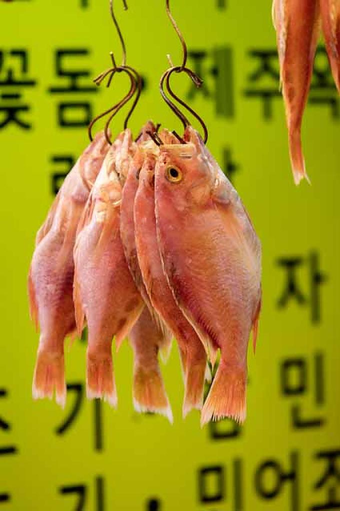 Fischmarkt in Busan Fischrestaurant am Abend
