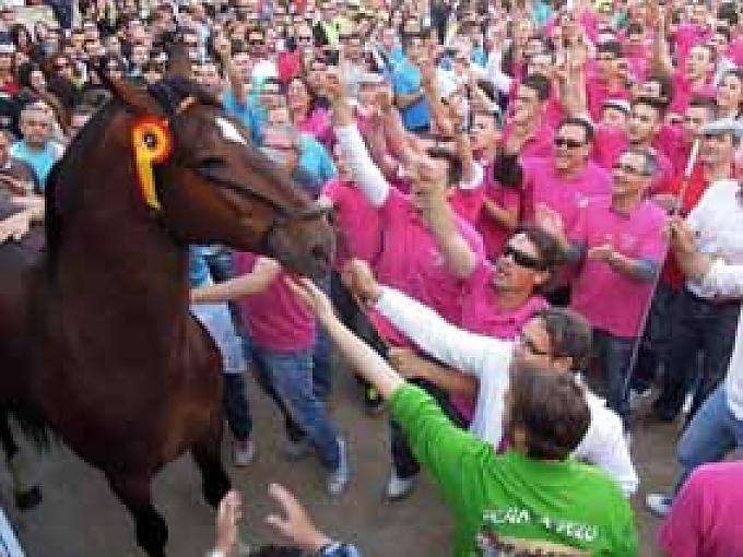 Am schnellsten ist die Schnecke Am schnellsten ist die Schnecke