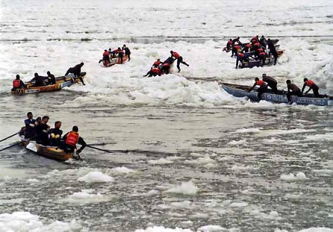 Mit Caribou durch Schnee und Eis Mit Caribou durch Schnee und Eis