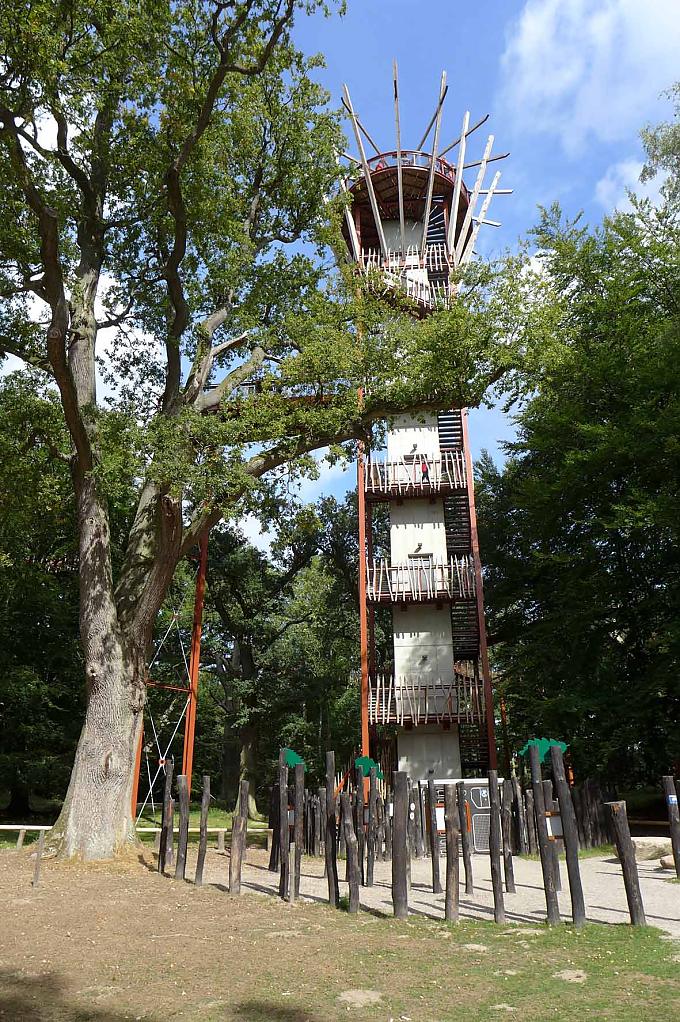 Aufzug zum Baumwipfelpfad. Eichenstamm.