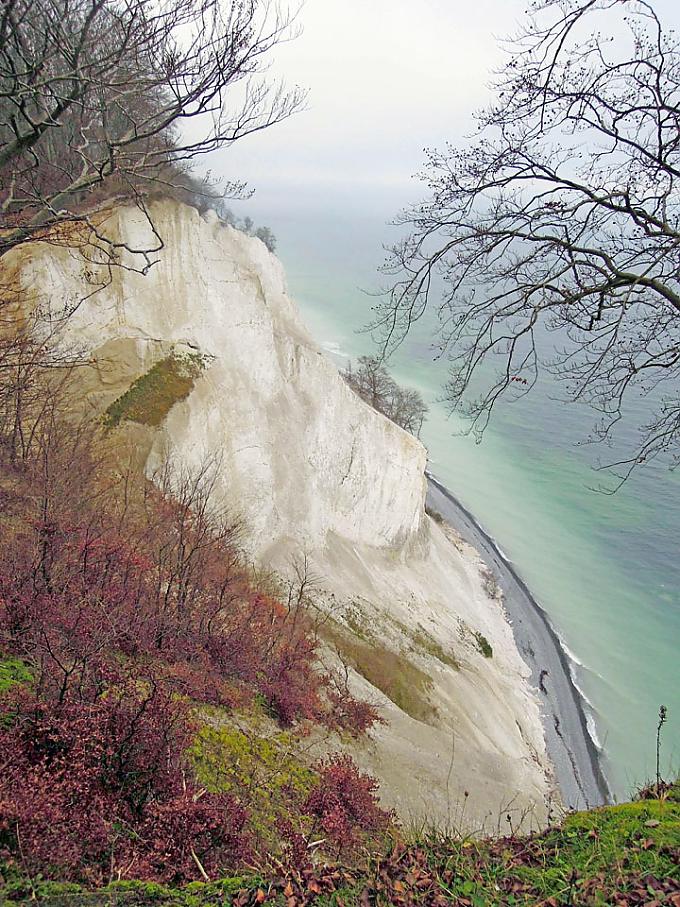 Kreidefelsen Meerforellenfischer