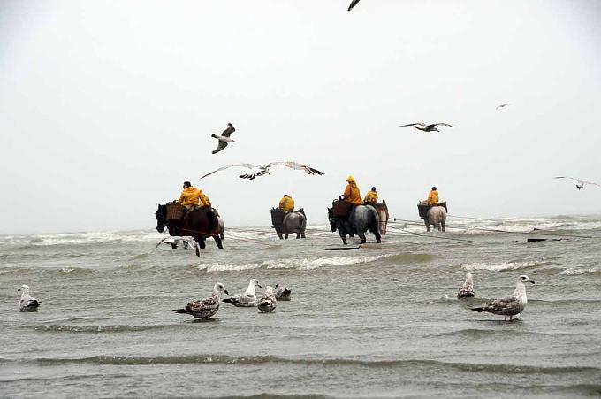 Die Krabbenfischer von Oostduinkerke Die Krabbenfischer von Oostduinkerke