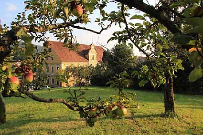 Das Geheimnis der Apfelmänner oder: Göttertropfen in der Kirchhofmauer Das Geheimnis der Apfelmänner oder: Göttertropfen in der Kirchhofmauer