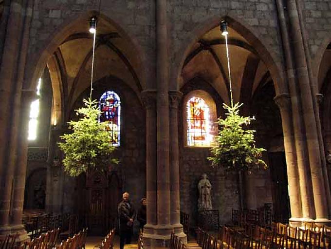 Die Geschichte des Weihnachtsbaums Die Geschichte des Weihnachtsbaums