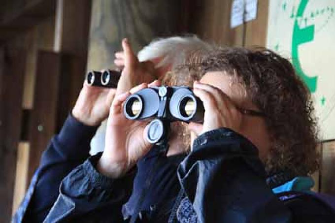 Der abendliche Anflug der Kraniche zu ihren Schlafplätzen ist das Natur-Spektakel im Herbst Das Gebiet der Havelquellseen ist ein erstklassiges und bildschönes Paddel-Revier