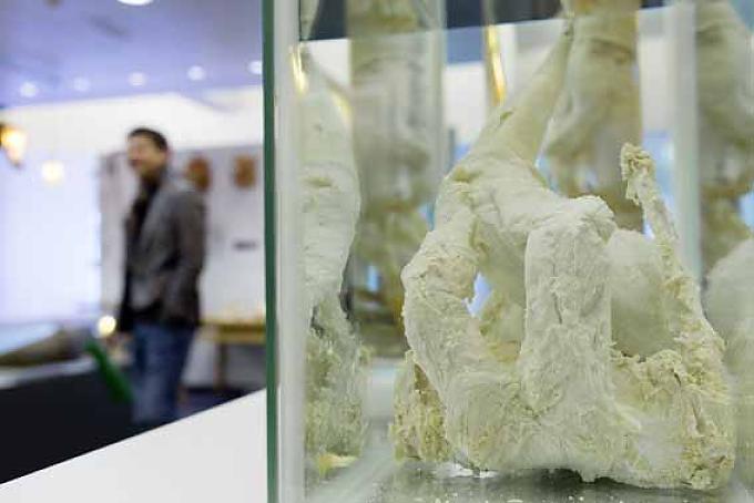 Viel besser als Briefmarken sammeln Viel besser als Briefmarken sammeln