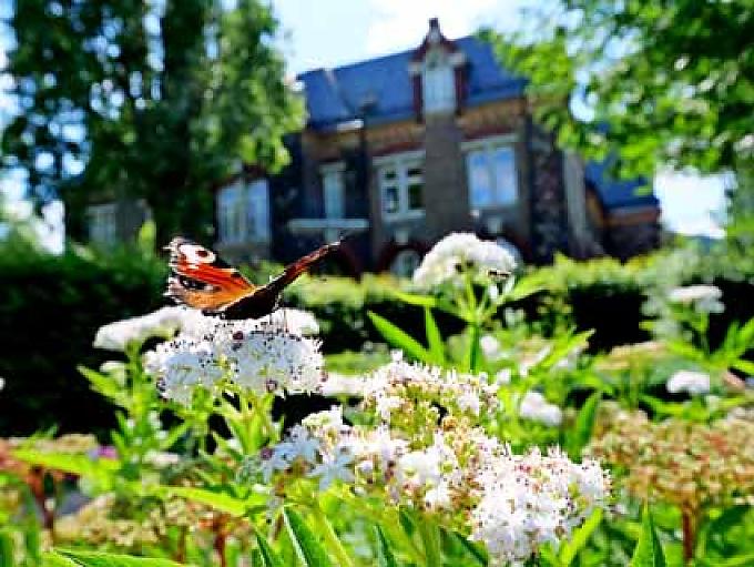 Grünkraft, der Heiligen Hildegards Lebenselexier Grünkraft, der Heiligen Hildegards Lebenselexier