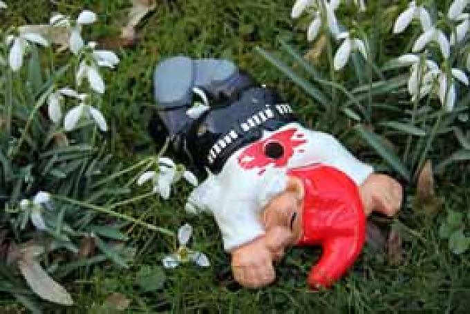 Tatort Garten: Dieser Gartenzwerg wurde hinterrücks „erstochen“. Tatort Garten: Dieser Gartenzwerg wurde hinterrücks „erstochen“.