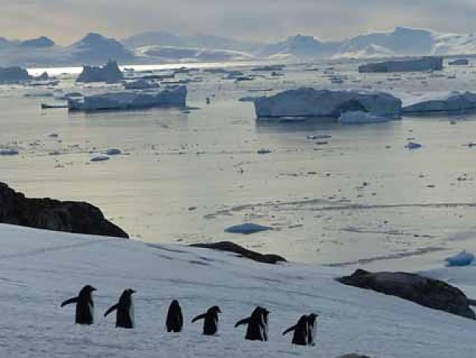 Gletscherabbrüche und Pinguinhighways Gletscherabbrüche und Pinguinhighways