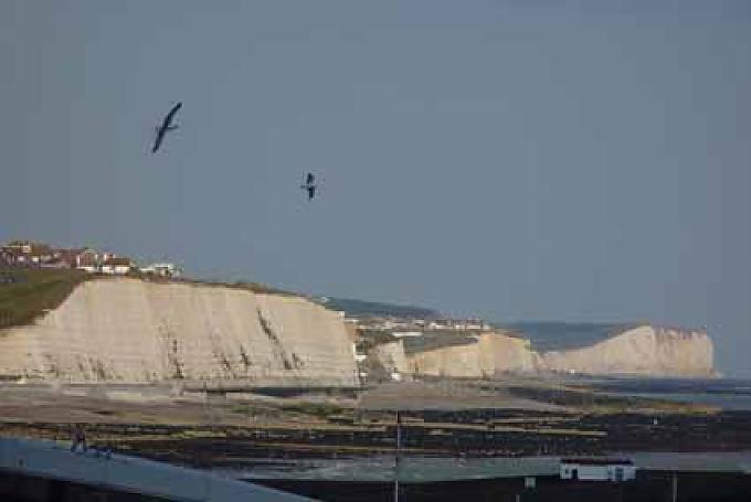 Seeluft schnuppern im sommerlichen Brighton Seeluft schnuppern im sommerlichen Brighton