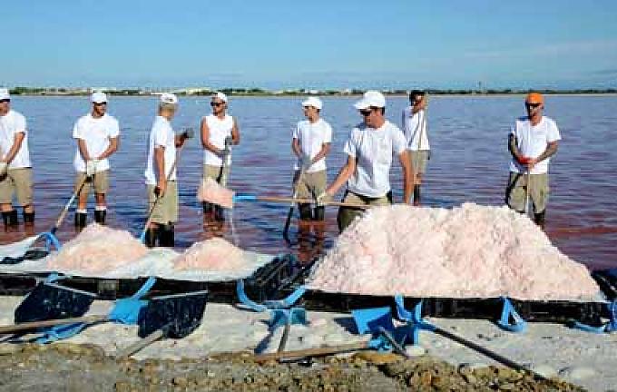 Aigues-Mortes: Seit sechs Uhr morgens schieben die Arbeiter der Saline in den Becken das Fleur de Sel zusammen und schaufeln es auf Paletten. Aigues-Mortes: Seit sechs Uhr morgens schieben die Arbeiter der Saline in den Becken das Fleur de Sel zusammen und schaufeln es auf Paletten.