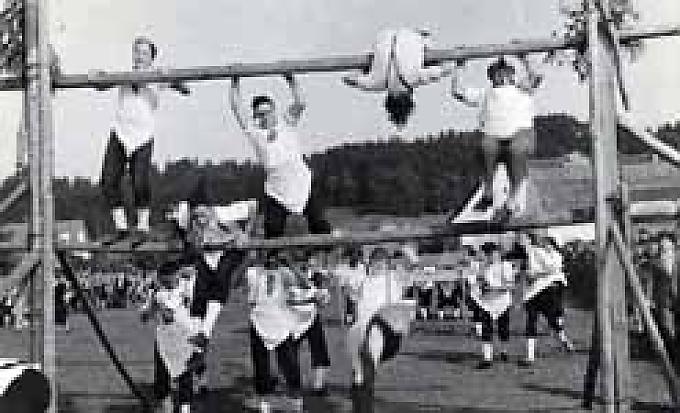 Historisches Foto eines Schnitthahnenrennens Historisches Foto eines Schnitthahnenrennens