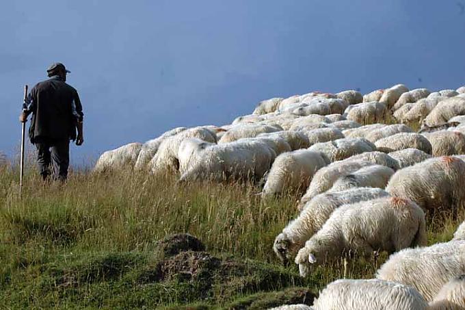 Der Maisbrei explodierte - das Deutschtum emigrierte Der Maisbrei explodierte - das Deutschtum emigrierte