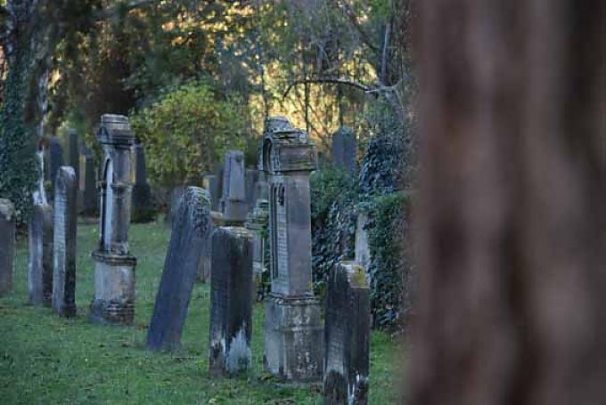 Für die Ewigkeit geschaffen Für die Ewigkeit geschaffen