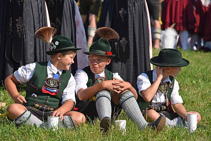 Voll im Almenrausch Voll im Almenrausch