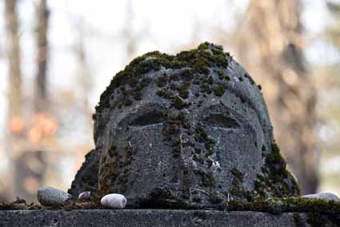 Efeu und Einschusslöcher Efeu und Einschusslöcher