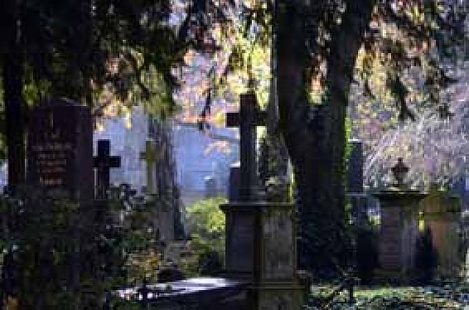 Gräber auf dem Alten Friedhof in Bonn.  Gräber auf dem Alten Friedhof in Bonn.