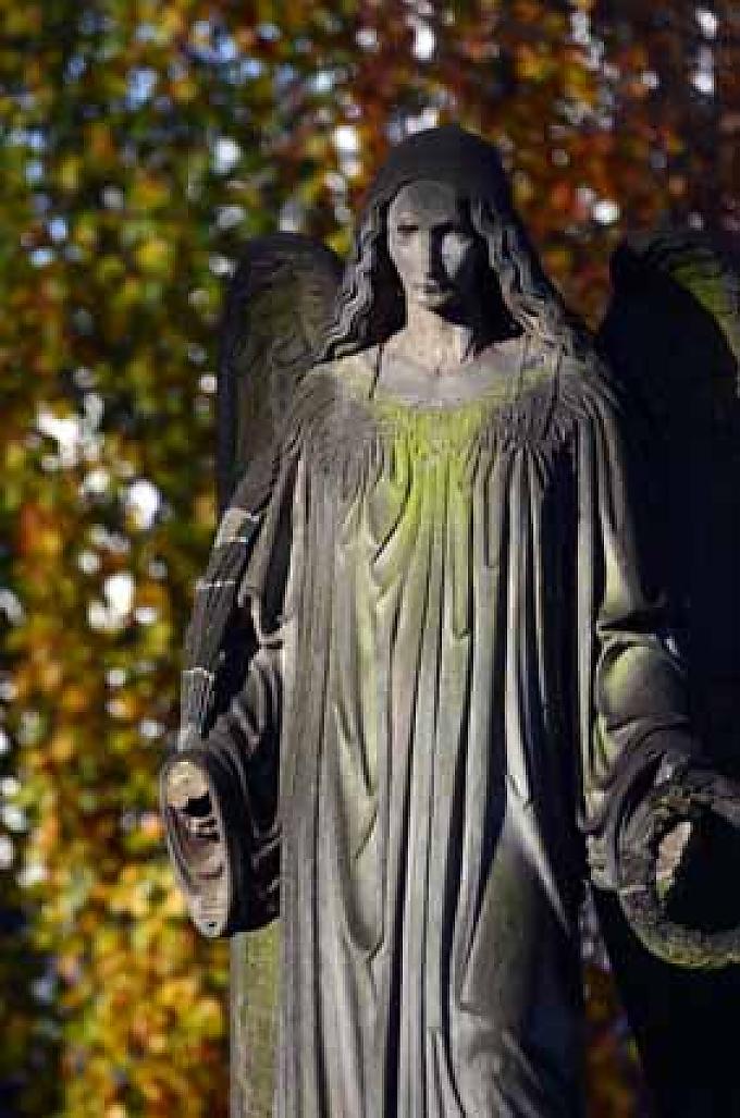 Ein strenger Engel auf dem Alten Friedhof in Bonn. Ein strenger Engel auf dem Alten Friedhof in Bonn.