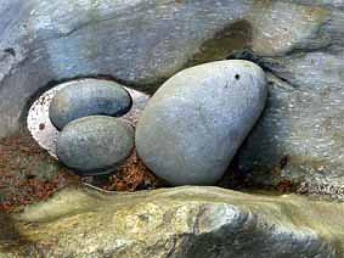 Einmal Eiszeit und zurück Einmal Eiszeit und zurück