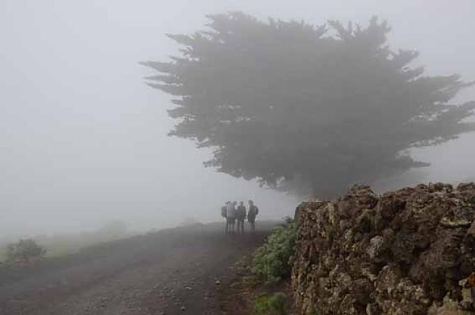 Wolken in der Melkmaschine Wolken in der Melkmaschine