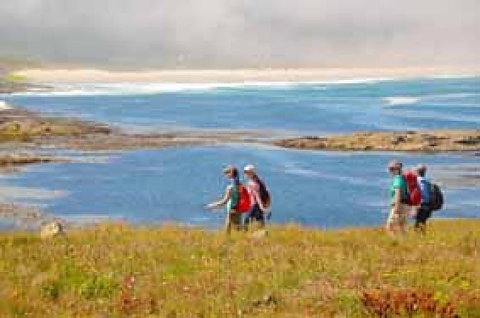Entenmuscheln in der Kristallbucht Entenmuscheln in der Kristallbucht