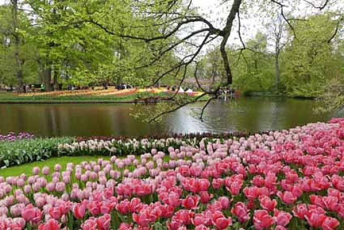 Parklandschaft in Keukenhof Parklandschaft in Keukenhof