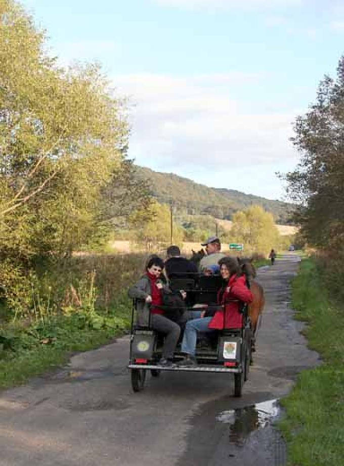 Mit der Kutsche durch das Wolosty-Tal Mit der Kutsche durch das Wolosty-Tal