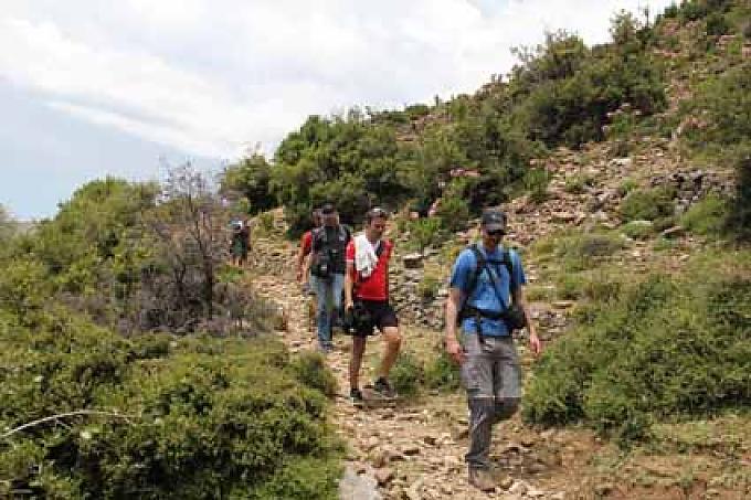 Schroffes Karstgestein und polyphone Gesänge Schroffes Karstgestein und polyphone Gesänge