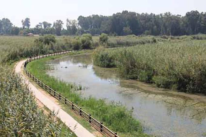 Hula Nature Reserve. Wanderweg durch das Schilfgebiet. Hula Nature Reserve. Wanderweg durch das Schilfgebiet.