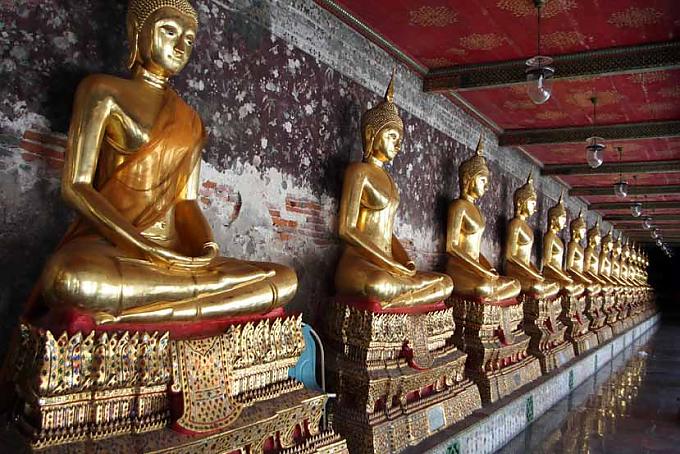 In eine andere Welt versetzt In eine andere Welt versetzt