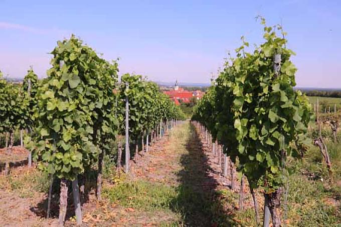 Reif für die Insel Reif für die Insel