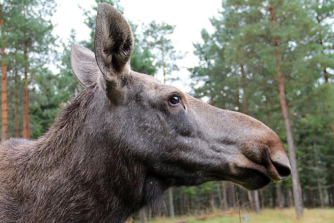 Unterwegs im Land der 96.000 Seen Unterwegs im Land der 96.000 Seen