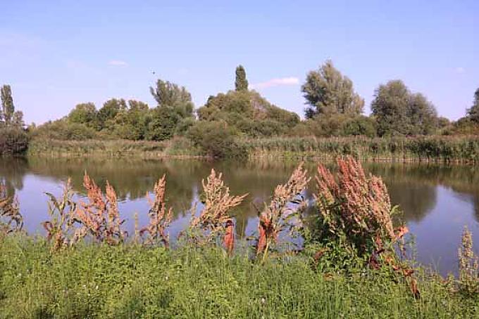 Dichterpfade, Hopfenmuseen und Schifffahrten mit Schäufele Dichterpfade, Hopfenmuseen und Schifffahrten mit Schäufele