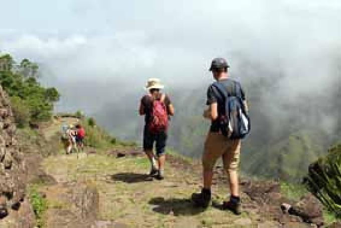 Bananen, Kaffee und Zuckerrohr Bananen, Kaffee und Zuckerrohr
