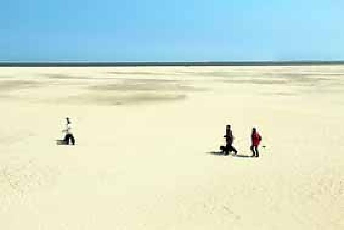 Bauernhof-Camping, Woolness und Seehunde Bauernhof-Camping, Woolness und Seehunde